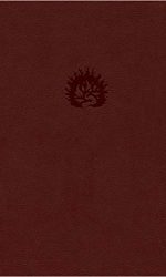 ESV REFORMATION STUDY BIBLE IM L BRICK R