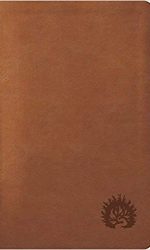 ESV REFORMATION CONDENSED IM LIGHT BROW