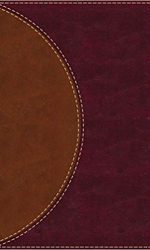 AMPLIFIED READING BIBLE BR IM L TI O/P