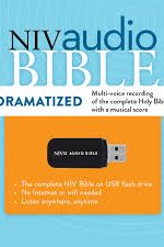 NIV AUDIO BIBLE USB DRAMATISED