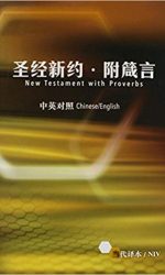 CHINESE CCG/ENG NIV PARALLEL NT