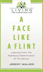 FACE LIKE FLINT, A