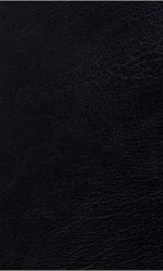 ESV STUDY BIBLE LARGE PRINT GL BLACK