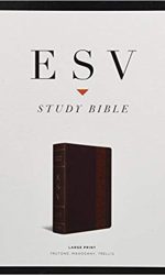ESV STUDY BIBLE LARGE PRINT TT MAHOGANY