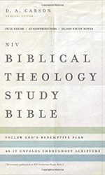 NIV BIBLICAL THEOLOGY STUDY BIBLE HC