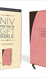NIV PREM GIFT PINK/BROWN IM