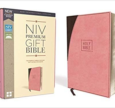 NIV PREM GIFT PINK/BROWN IM