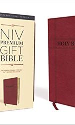 NIV PREM GIFT BURGUNDY IM