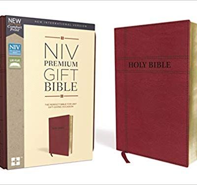 NIV PREM GIFT BURGUNDY IM