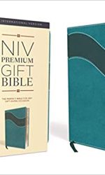 NIV PREM GIFT TURQUOISE IM