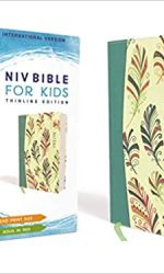 NIV BIBLE FOR KIDS TEAL