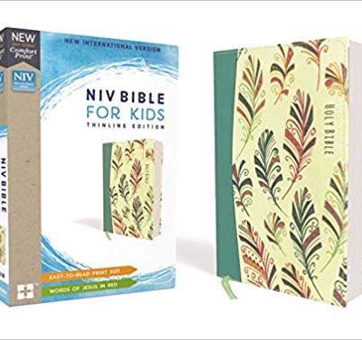 NIV BIBLE FOR KIDS TEAL