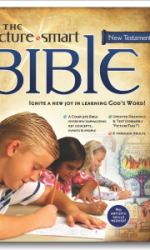 PICTURE SMART BIBLE NT GR4+ SET