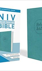 NIV VALUE THINLINE BLUE IM