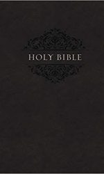 NIV SOFT TOUCH BLACK IM