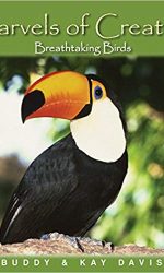 MARVELS OF CREATION: BIRDS