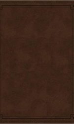 NKJV STUDY TI RED LETTER MAHOGANY IM L