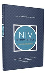 NIV STUDY BIBLE REVISED