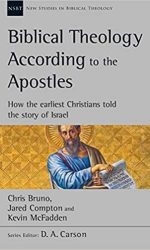 BIBLICAL THEOLOGY ACC TO APOSTLES - NSBT