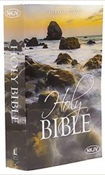 NKJV ECONOMY BIBLE LP