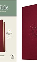 NLT FILAMENT THINLINE REF CRANBERRY IM