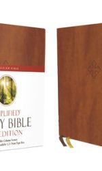 AMPLIFIED BIBLE XL EDITION BROWN IM