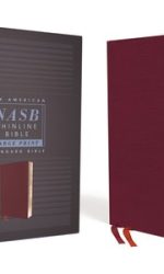 NASB LP THINLINE BURGUNDY BL