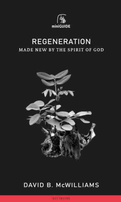 REGENERATION - MINI GUIDE
