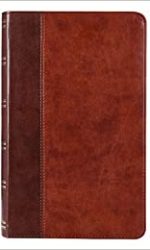 KJV GIANT PRINT FULL SIZE BRANDY/BR GL