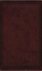 ESV LP VALUE THINLINE TT MAHOGANY