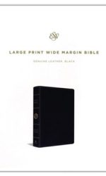 ESV LP WIDE MARGIN GL BLACK