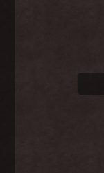 NIV SUPER GIANT PRINT REF GREY/RED IM