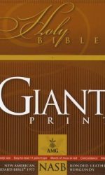 NASB GIANT PRINT HANDY SIZE BLACK BL