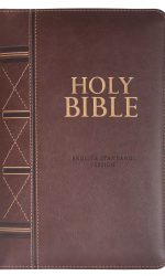 ESV STANDARD SIZE BIBLE TI ZIP BROWN IM