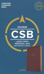 CSB LP PERSONAL SIZE REF BURGUNDY IM