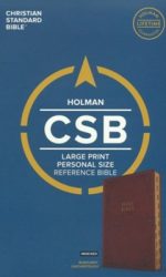 CSB LP PERSONAL SIZE REF TI BURGUNDY IM