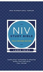 NIV STUDY BIBLE LP H/C