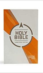 CSB ECONOMY LARGE PRINT