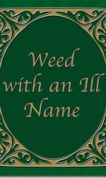 WEED WITH AN ILL NAME - CCBC