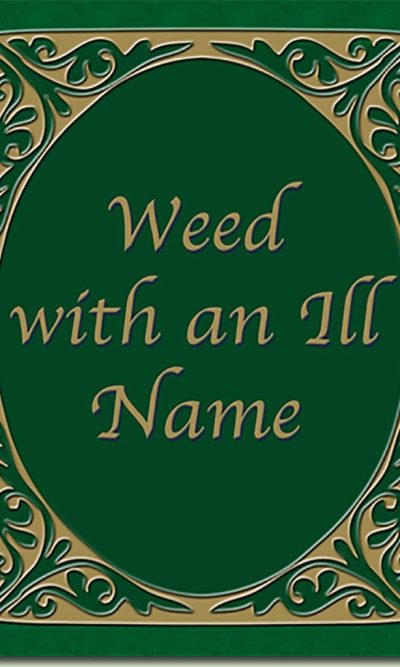 WEED WITH AN ILL NAME - CCBC