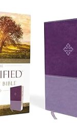 AMPLIFIED STUDY BIBLE PURPLE IM
