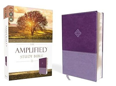 AMPLIFIED STUDY BIBLE PURPLE IM