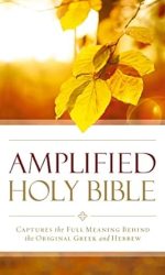 AMPLIFIED OUTREACH BIBLE