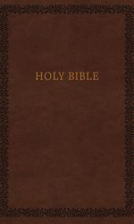 NIV SOFT TOUCH BROWN IM