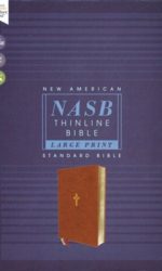 NASB THINLINE LP 1995 BROWN IM