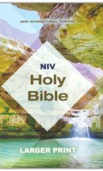 NIV ECONOMY BIBLE LARGER PRINT