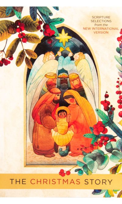 NIV CHRISTMAS STORY