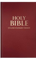 ESV STANDARD SIZE BIBLE BURGUNDY HC