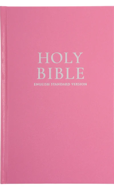 ESV STANDARD SIZE BIBLE PINK HARDCOVER