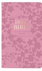 ESV STANDARD SIZE BIBLE ZIP PINK IM